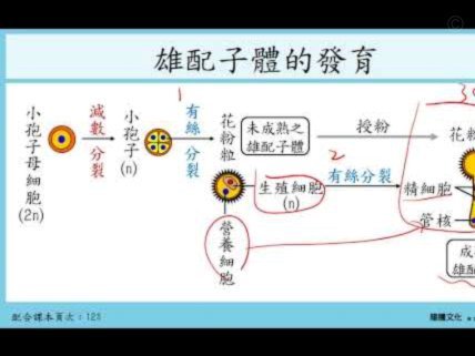 无效控球和盲目大脚哪个更沙币 你们在争论什么？