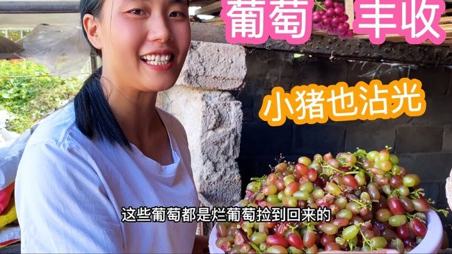 戴维斯：葡萄牙在世界杯没完全发挥实力，维蒂尼亚本能更好