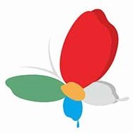 武汉三镇保级关键战定档，9月对阵河南浙江补赛时间公布